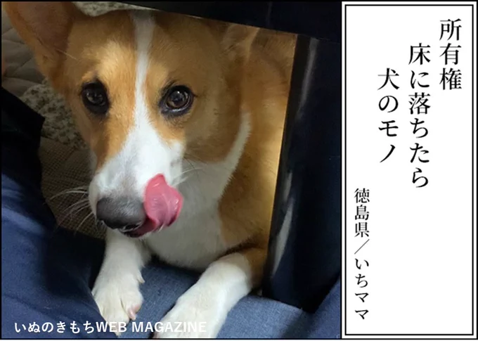 【犬あるある川柳入賞作品】

★最優秀賞
「所有権 床に落ちたら 犬のモノ」

犬飼い主さん、犬好きさんなら思わず納得!?
笑った後にじんわり心温まる、犬あるある川柳がおもしろい!

▼投稿者さんの裏話や川柳の解説はこちらから!
https://t.co/UNzsp0hk9r 