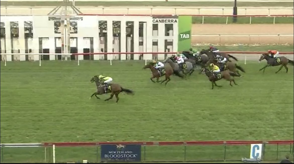 LabasheedaT's tweet photo. Nice debut win by Blackhill Kitty by Ready for Victory. Still learning her trade. Great ride by @BlaikeMc. She has over come a freak accident as a yearling which nearly ended her life. @thorotek has put the finishing touch on her. Bred, raised and trained at Labasheeda.@SunStudHQ https://t.co/5dQQ8eJ5Tu