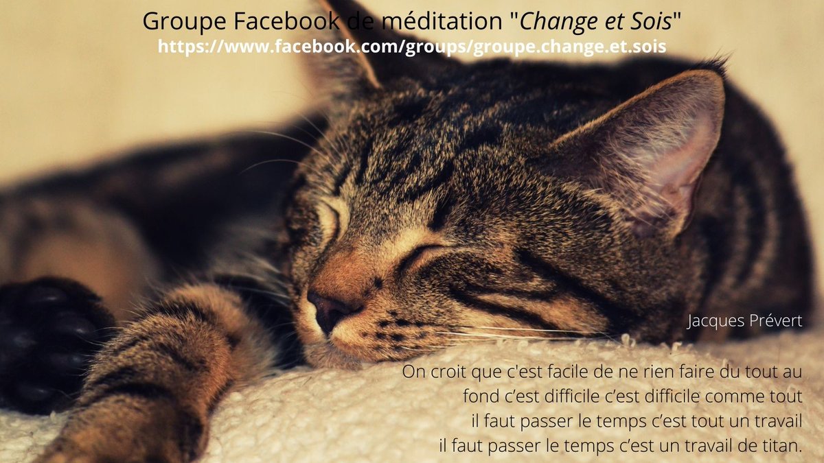 Change et Sois - Mindfulness 06 (@mindfulness06) on Twitter photo 