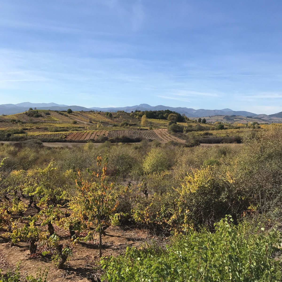 CaminoTrails's tweet photo. Day 20 on the Camino Francés, from October 2027. A beautiful day of walking in and around Ponferrada https://t.co/kx86Y2gIio

#caminodesantiago #camino  #walking #hiking #longdistancewalking #frenchway #frenchcamino #caminofrances https://t.co/sjg78QhYVn