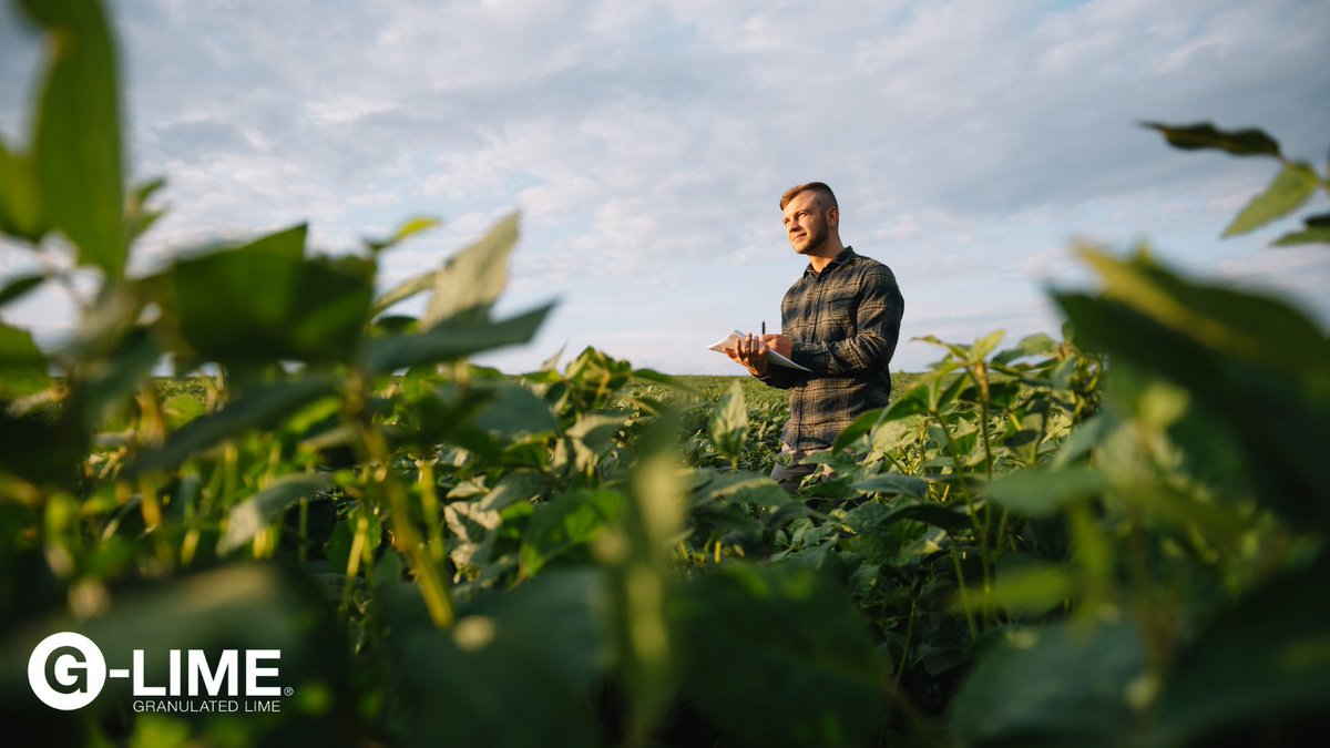 KilwaughterLime's tweet photo. By maintaining the required soil pH through liming, locked nutrients are made available to the plant for uptake, increasing the value of applied nutrients in every bag of fertiliser. 🤩 #KilwaughterLime #GLime https://t.co/7OJ11hEedK