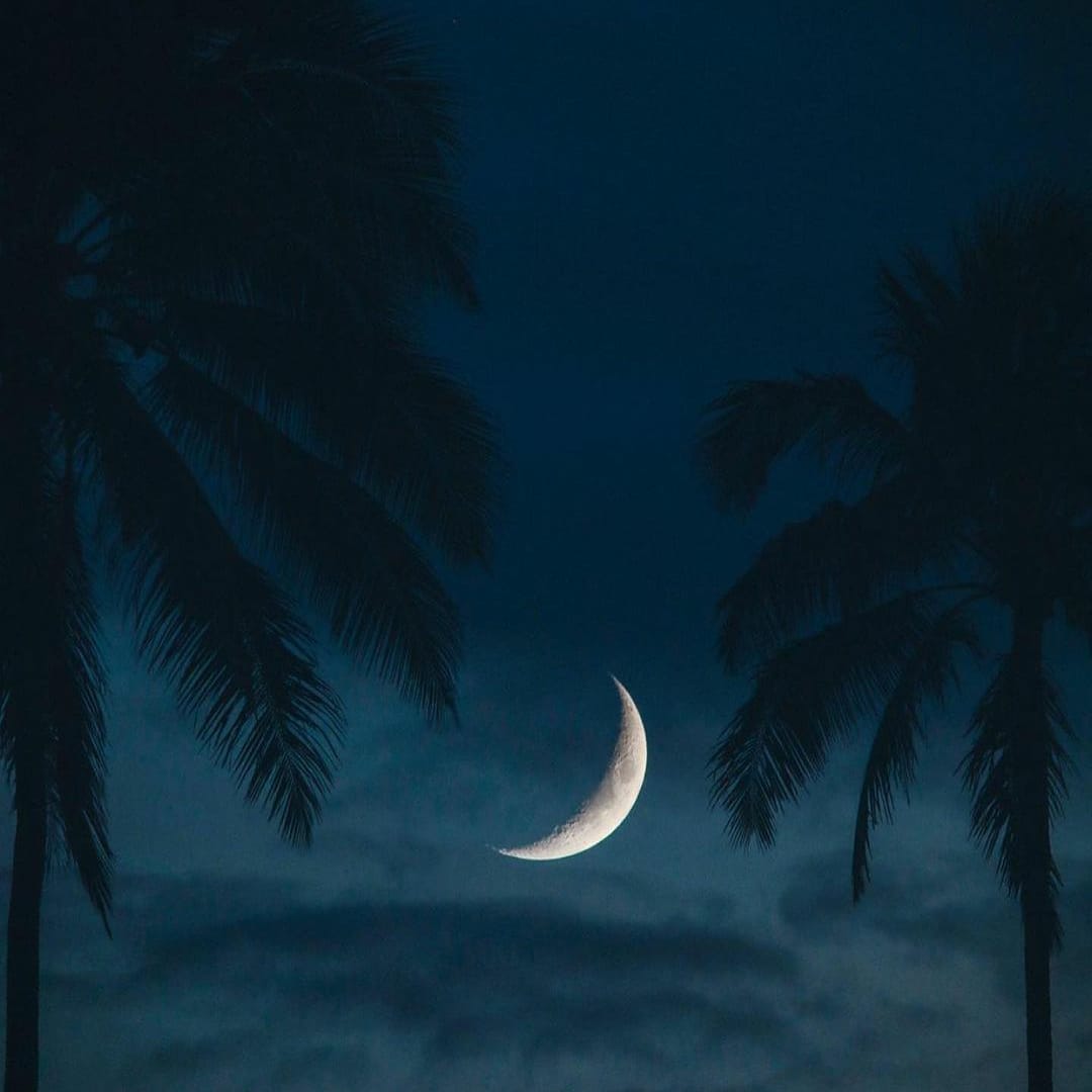 ChildCandles's tweet photo. #sweetdreams everyone ✨🌙🌴 https://t.co/w90vQqiUlR