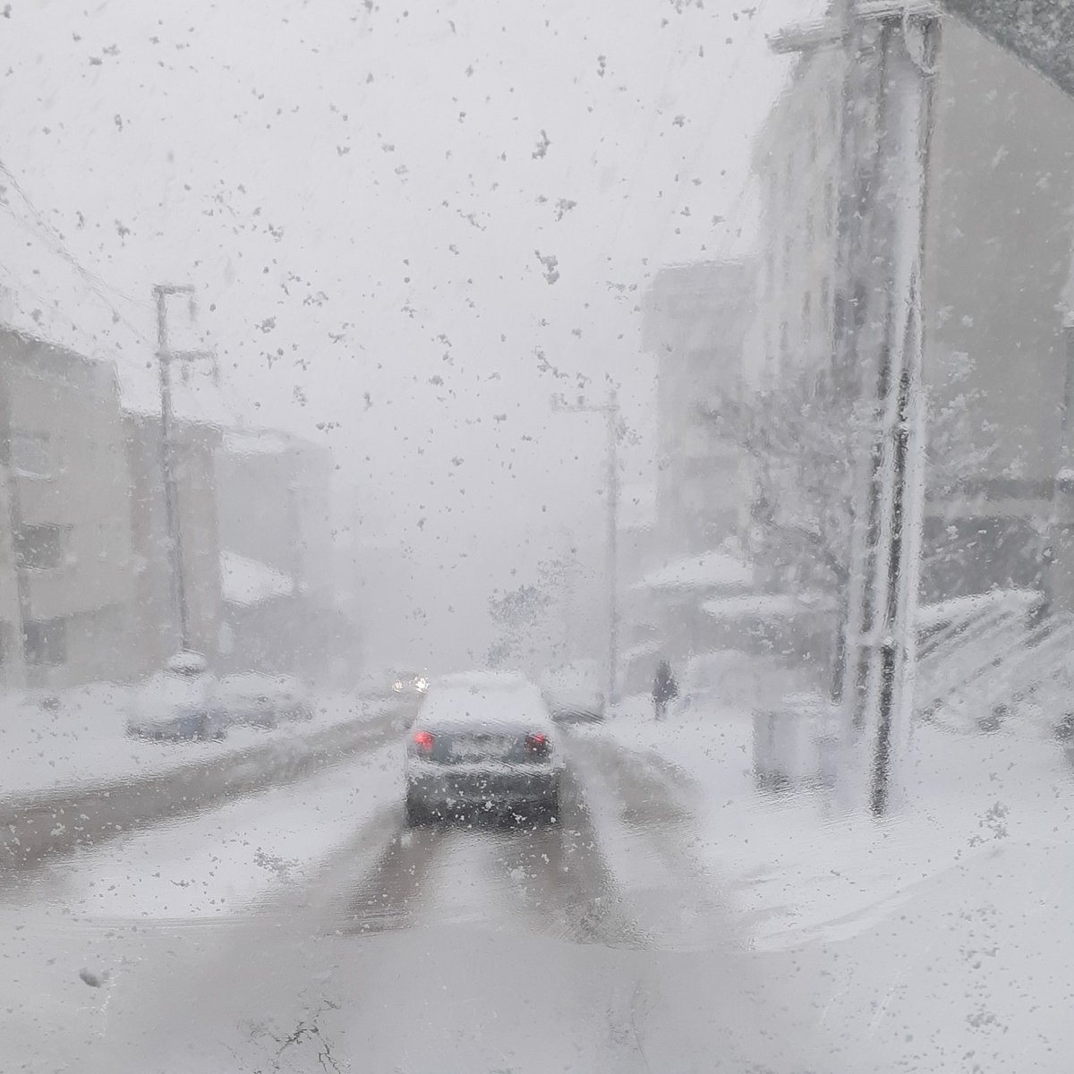 Yaz Kış demeden sevimli dostlarımız için Yollardayız🌨🧣🧤

#MucizePetCenter #MucizePet #Vitamin #PowertimeMucizePet