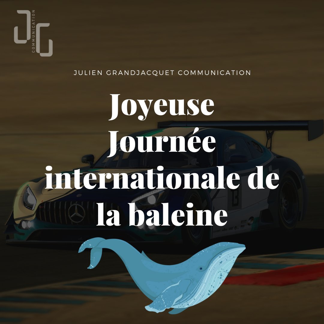 EPRTsim's tweet image. 📢 Joyeuse journée internationale de la baleine !

Parce que parfois, il n'y a pas que le Simracing dans la vie...  Il y a aussi les baleines !