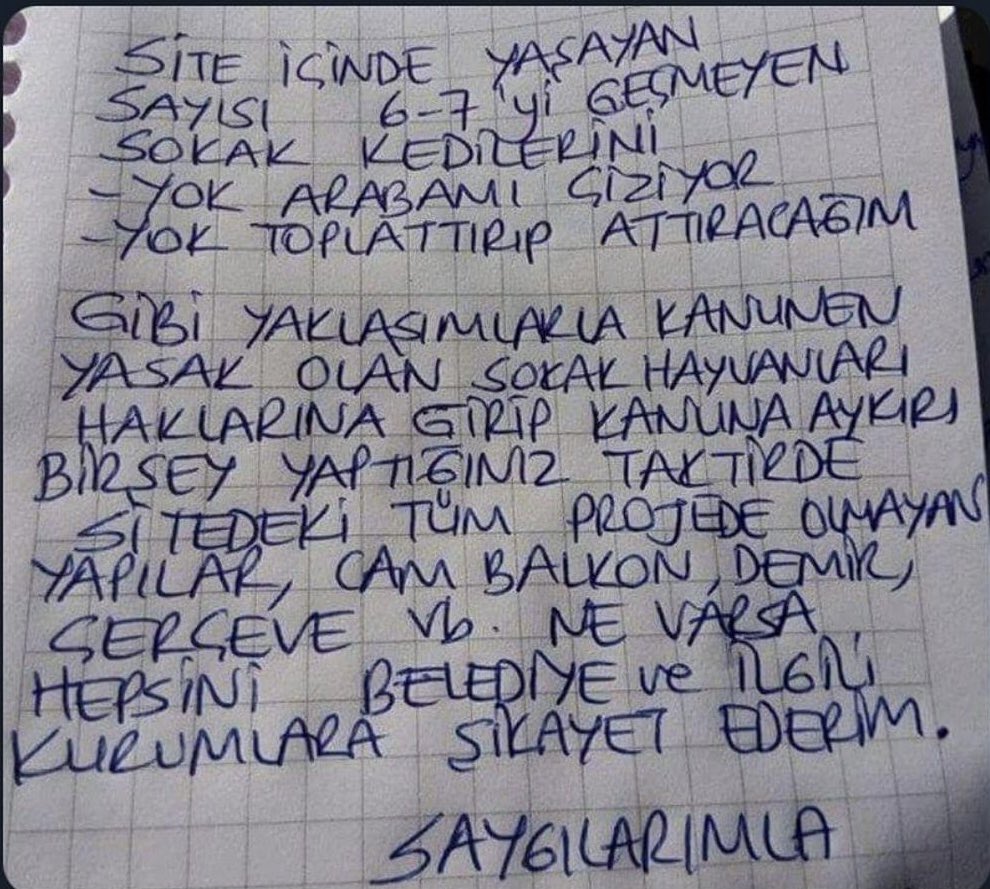 zar düşeş beyler alışverişler 🚀 #Kedi
