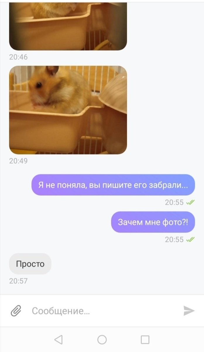 procto_tsar's tweet photo. Как я продавал хомяка https://t.co/S1AQkUipC1