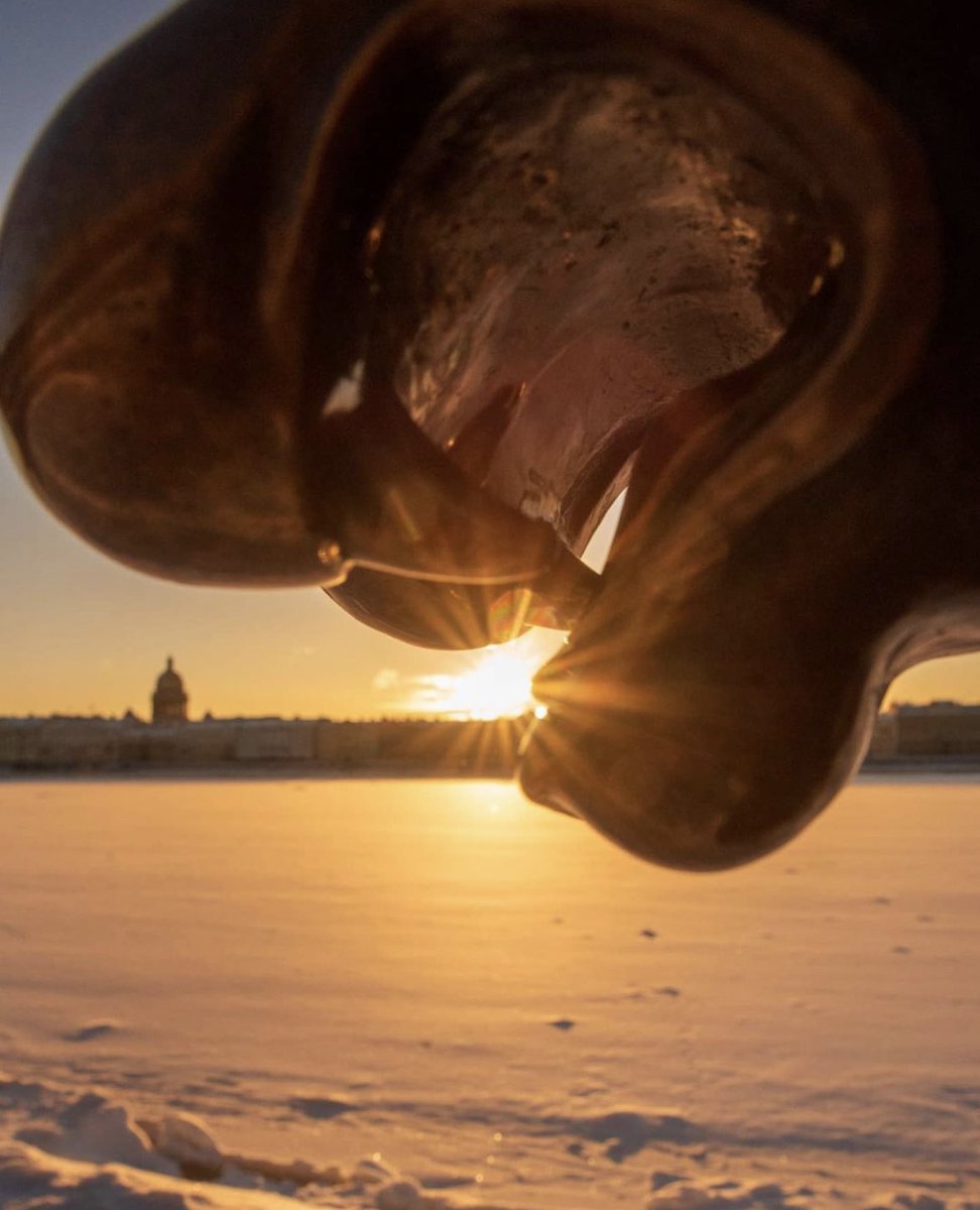 2day_tours's tweet photo. It’s said that Griffins can fulfill desires. But it can't be happened without help of Sphinxes.First of all,recall your desire and with one your hand pat the Griffin’s head.Than with your other hand grasp his right tooth and in the same time look in eyes of closest to you Griffin https://t.co/kF7oW12jwc