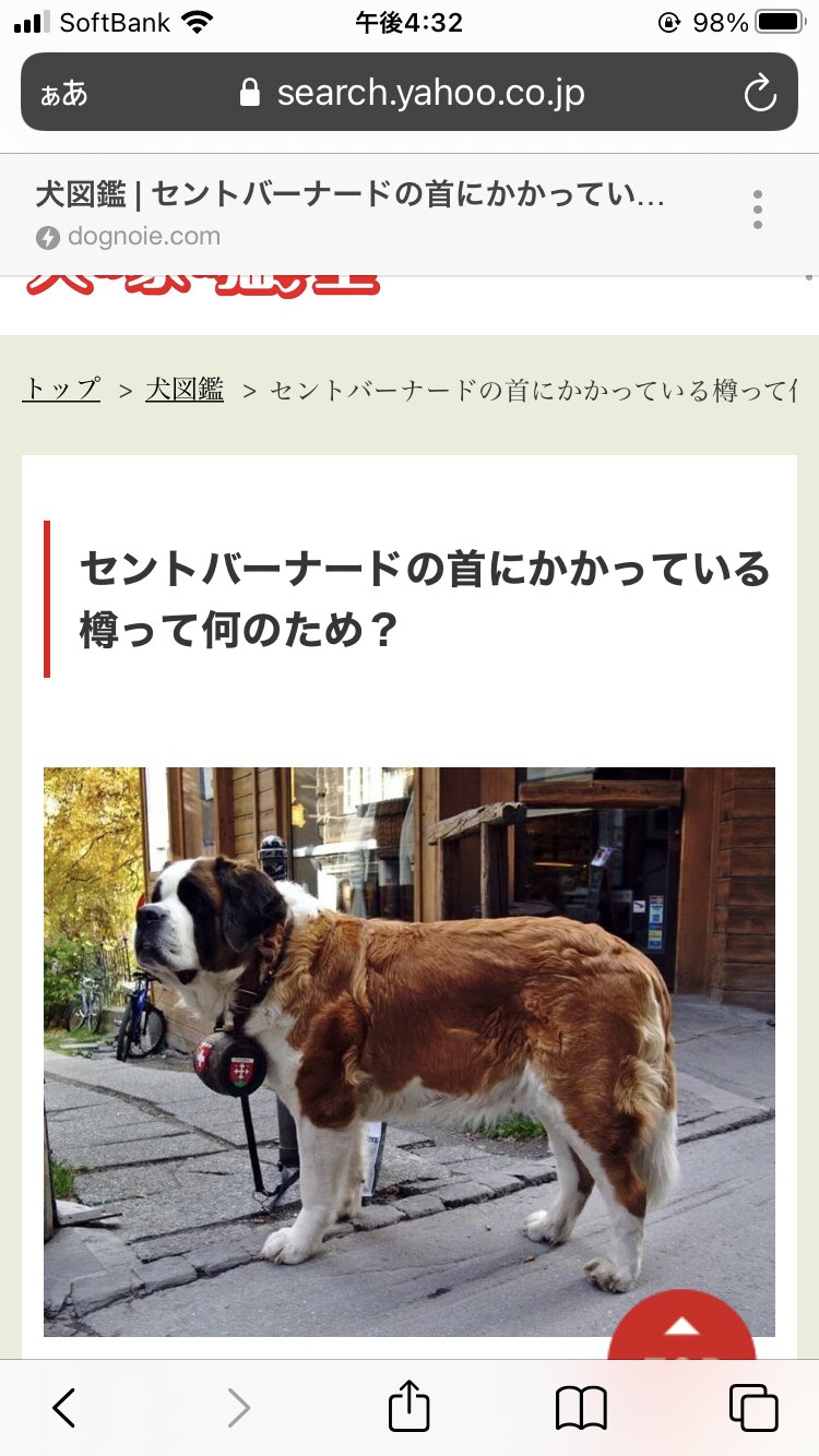 海狐 Ruunya Volk ロシアのセントバーナードは山岳救助犬として活躍しています その首輪にはブランデーの入った樽が付いてるんですよ ロシアはとても寒いですし 山での遭難では体温を奪われているので 遭難者にたどり着いた山岳救助犬からブランデーを