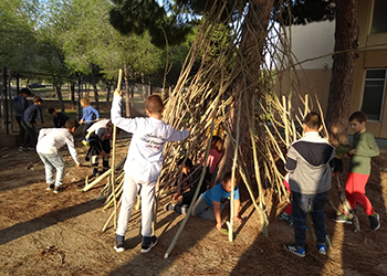 .<a href="/procicat/">procicat</a> Tancar les activitats del lleure i les  extraescolars té costos educatius i socials. Dilluns finalitzen les mesures vigents i reivindiquem de nou que s’obrin aquests espais essencials per l’educació. L’evidència constata que són espais segurs.#obrimlleureiextraescolars