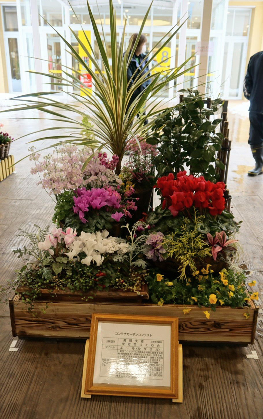 高岡市 花 公財 花と緑の銀行 主催のコンテナガーデンコンテストが始まり 本日から2月28日 日 までファボーレ 婦中町 にて展示されています 高岡市からは 立野栄町花 づくり会が出展しています ぜひ お越しください 花と緑の課 コンテナ