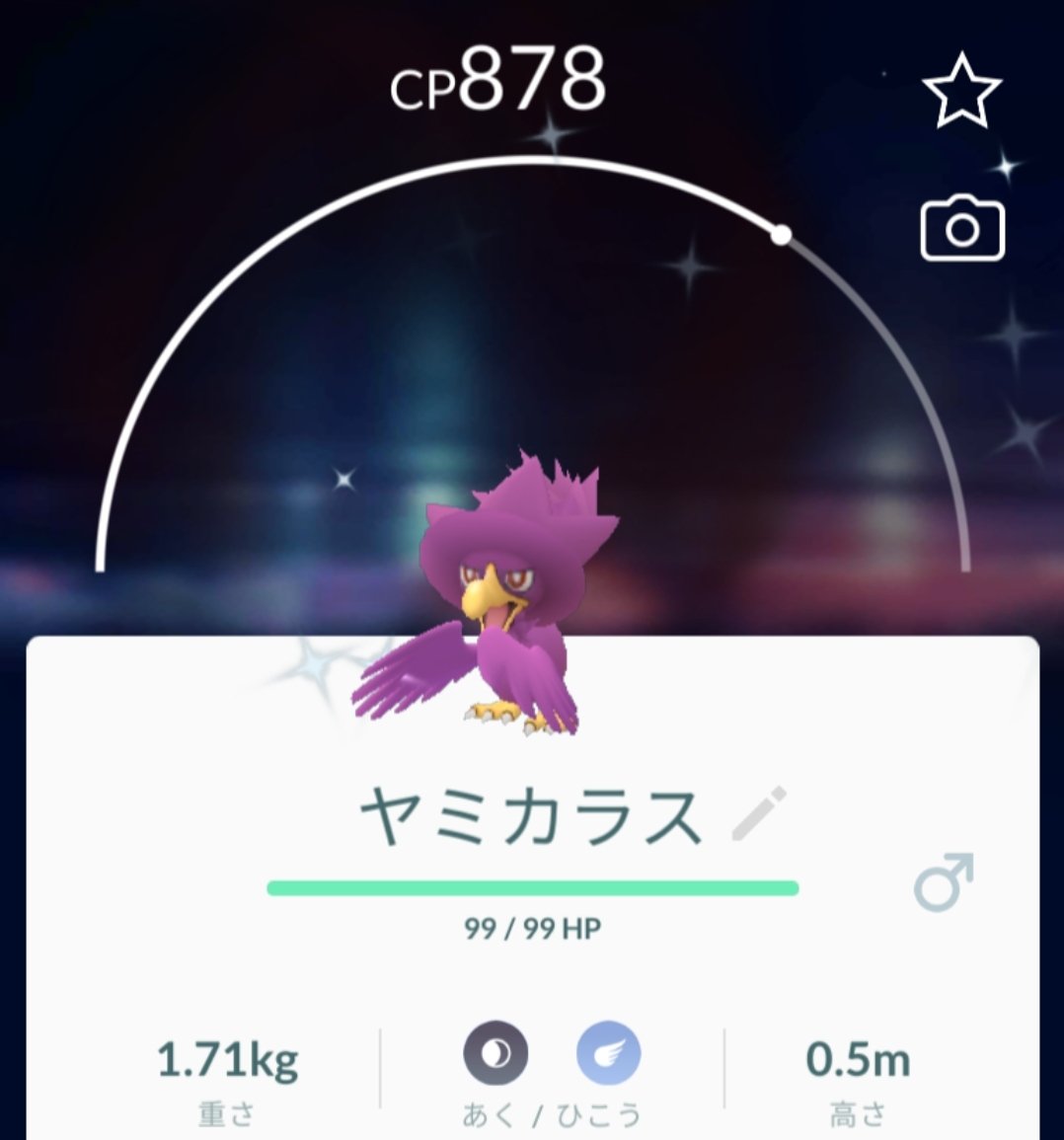 ポケモンgo 東京 立川 青梅 羽村 ポケモンgo 本日の色違いは 鳥系のポケモンʚ ໒ ﾟ コミュニティで進化 すればヤミカラスも限定技覚えるかなぁぁぁ ﾉﾟoﾟ ﾉ 28日レイドパスめっちゃ貰える 口 ๑ サカキは新しく誰をシャドウにしてくるのか