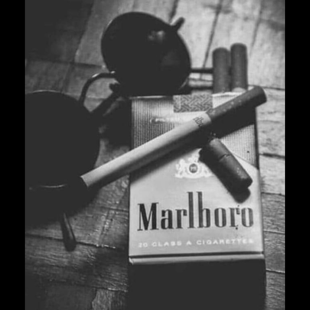 #صورة_ملف_شخصي_جديدة