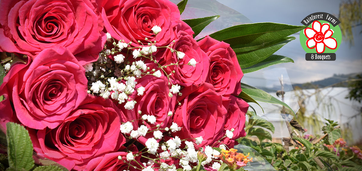 Rainforest farms and bouquets (@rainforest2018) on Twitter photo 