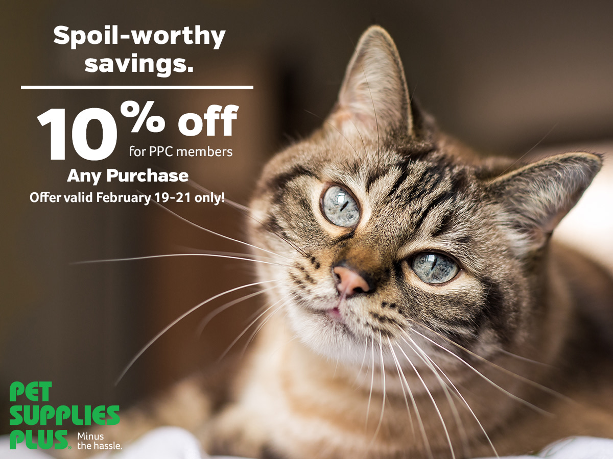 nearest pet supplies plus