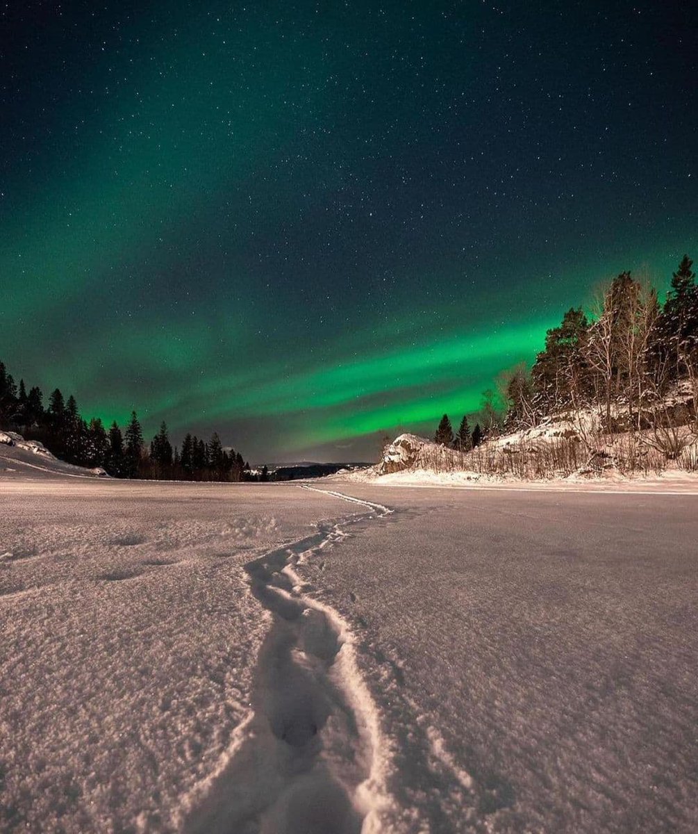 Spherenation1's tweet photo. Amid the majesty of night,
What splendid vision strikes my eyes,
In glory bursting on the sight,
Forth from the northern skies?

#Auroraborealis #northernlights #astro #ASTRO https://t.co/yOd1ZgpsTb