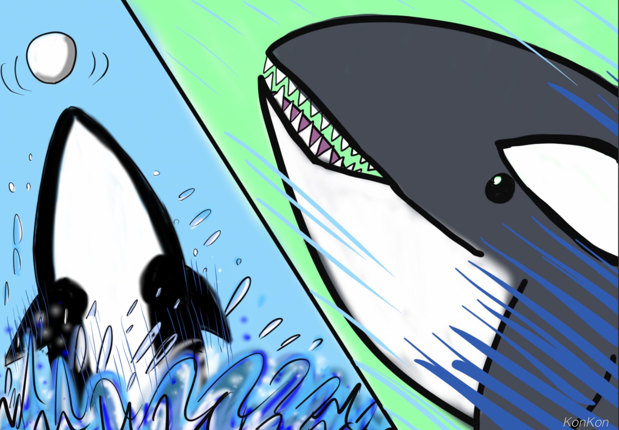 シャチイラスト Twitter Search Twitter