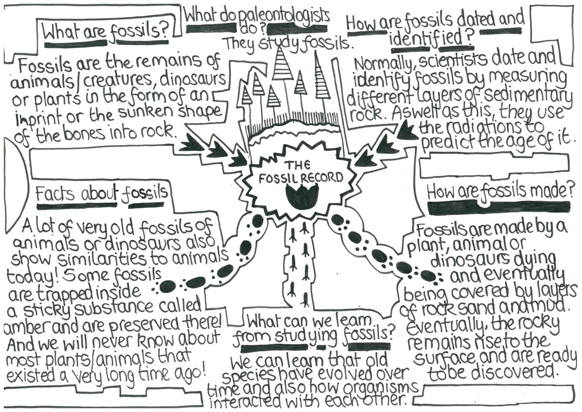 ellesmerecoll's tweet photo. Yr 6 have been stepping back in time to look at fossils and creating these fascinating mind-maps in Science - linking together facts about fossils into one fun diagrammatic representation.
Some fabulous work from Izzy, Joe, Oli and Douglas!
#ScienceAtEllesmere #HPL #STEM https://t.co/iqJQElRYi6