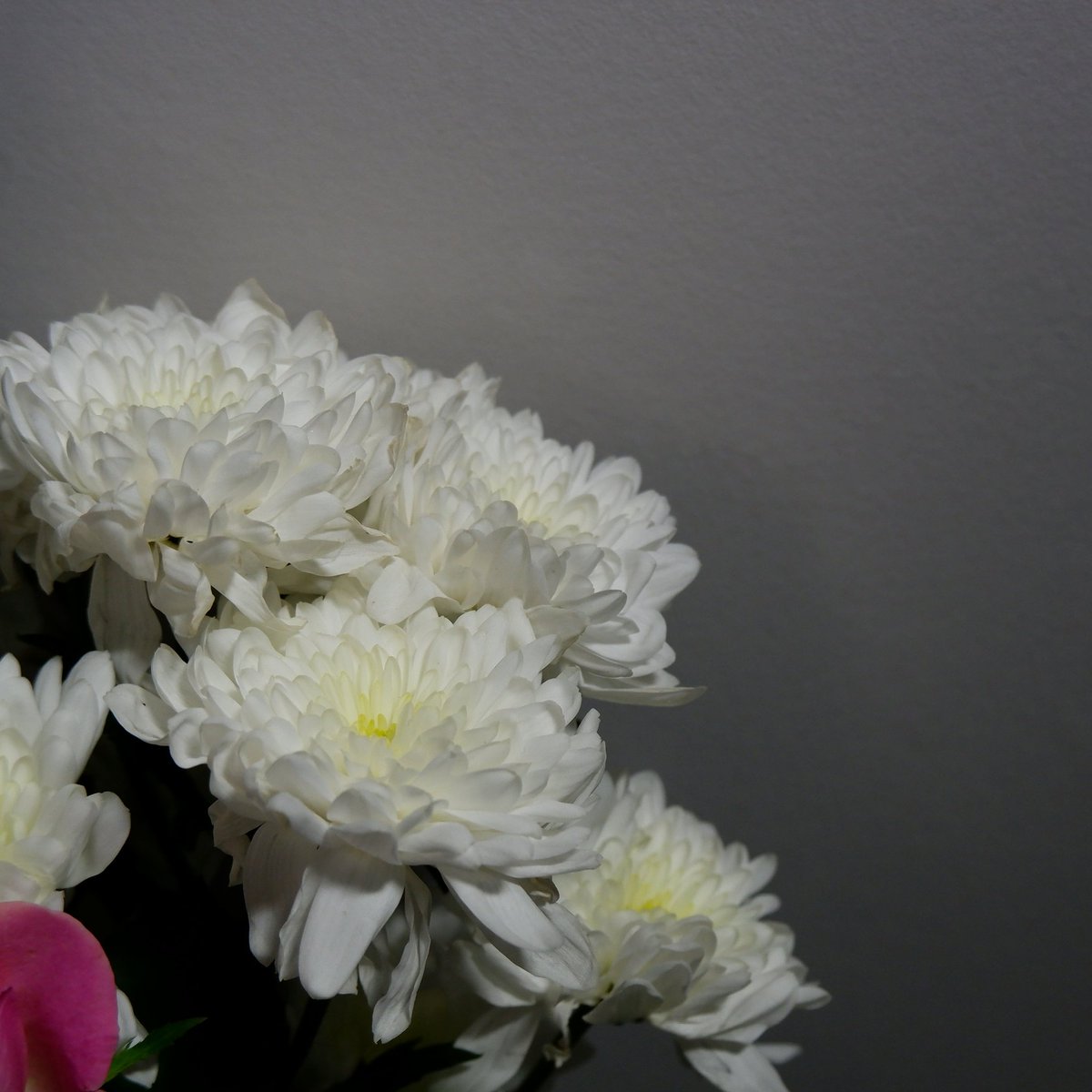 As announced by the Welsh Government, close-contact business such as NAOHOA will remain closed for at least three more weeks.
I'll be rescheduling tattoo appointments...otherwise, Online Consultations are still taking place!
naohoa.as.me 

#Cardiff #waleslockdown