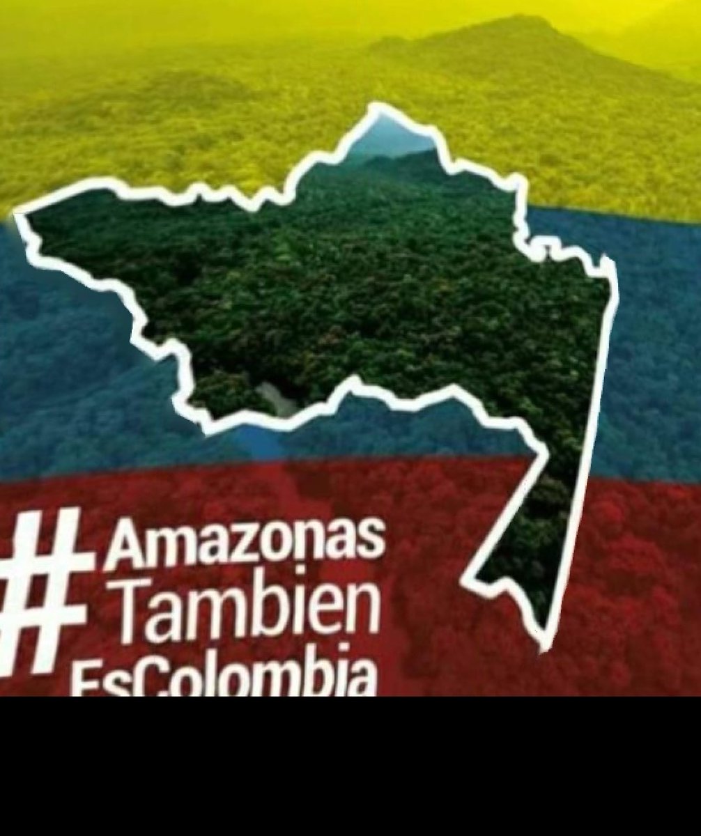ArelizCuellar's tweet photo. @IvanDuque,  hoy Amazonas iza la bandera de Colombia, Marcha y cacerolazos 9:00am, como símbolo de protesta a la indolencia de su gobierno, necesitamos el aeropuerto funcionando, #PrioridadEnLasVacunas somos colombianos no bichos raros, no más encierro,  no más estigmatizacion. https://t.co/fLzsOCQQka