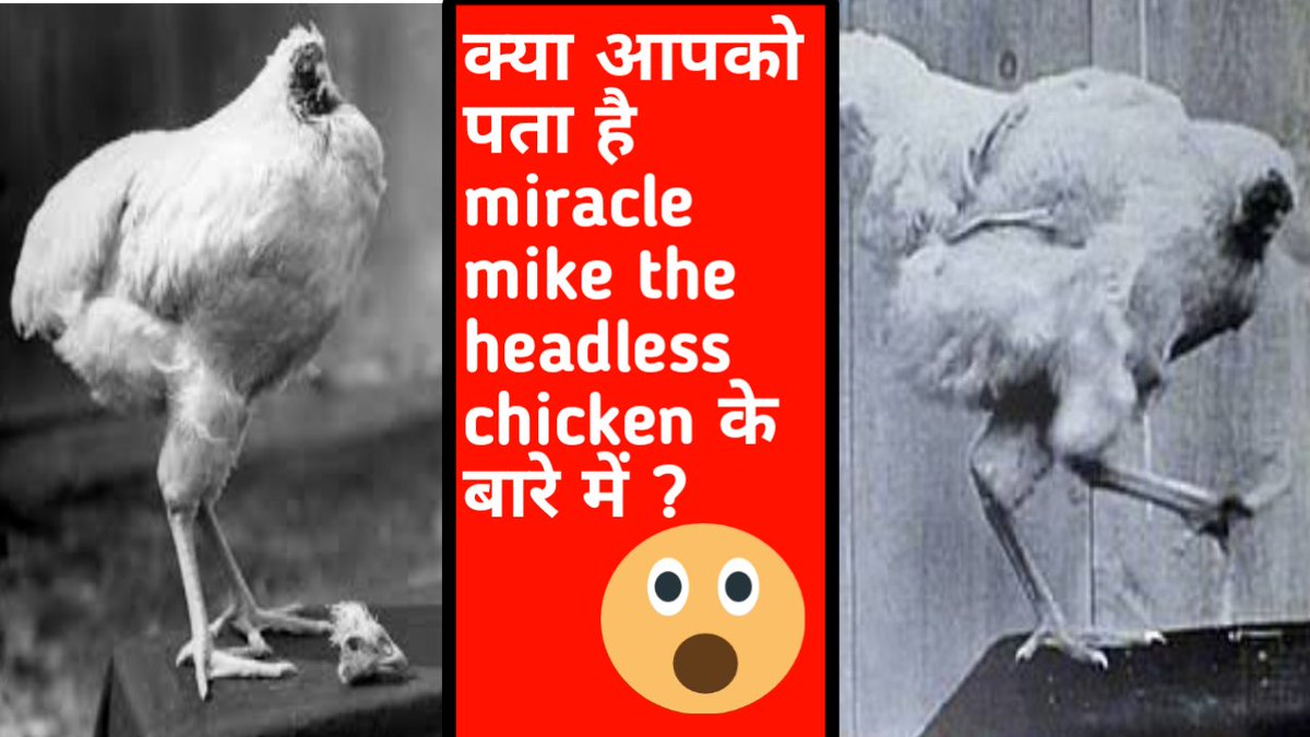 FACTSNEWS5's tweet photo. Hi friend new video is out on youtube so pls like share comment and subscribe to our channel and watch the full video till the end
link:-https://t.co/hhTWuh2pLe
#NewVideo #NewVideoAlert #Facts #factsinhindi,#factschannel #support #factsvideoinhindi #FactsMatter #like #Share https://t.co/LnrZEGJ8jR