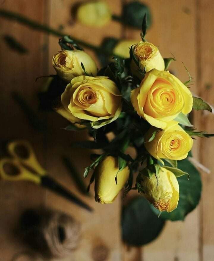 هناك من يجرحك بأخلاقه 
و هناك من يحرجك بأخلاقه ( الفرق نقطة والمعنى كبير )
#ثم٠٠
قلوبنا كؤوس إن شئنا ملأناها حبا
وإن شئنا ملأناها حقدا وكل منا سيشرب مما وضع 
إن أجبرتك الحياة على التلون. فكن مثل الورود.
وإن أجبرتك على السقوط …. فكن كزخات المطر.