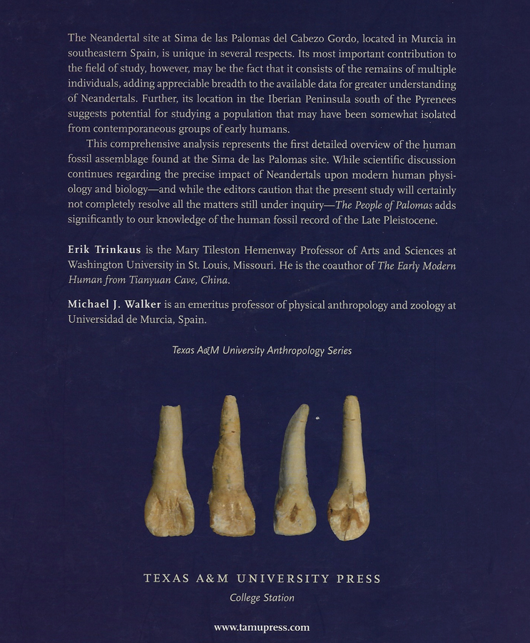 #FossilFriday with 😷. SP48 Mandibular I² Right. The crown and root are completely formed. The incisal surface is worn with exposed dentin (stage 3).
#Neanderthal #SimaPalomas #TorrePacheco #Murcia
📷: People of Palomas
📖: E. Trinkaus &amp; M.J. Walker Eds.