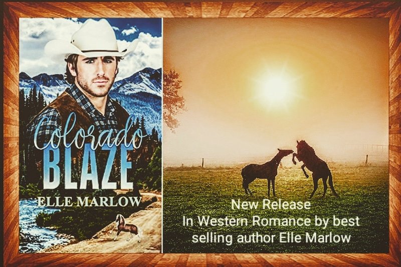 ElleMarlowWrite's tweet image. An echo comes and goes but it is never truly forgotten. But when the barrel racing star has her champion horses stolen will Blaze sacrifice his heart to help her?
#fridaymorning #FridayReads #KindleUnlimited #kindle #romancenovels #paperback
