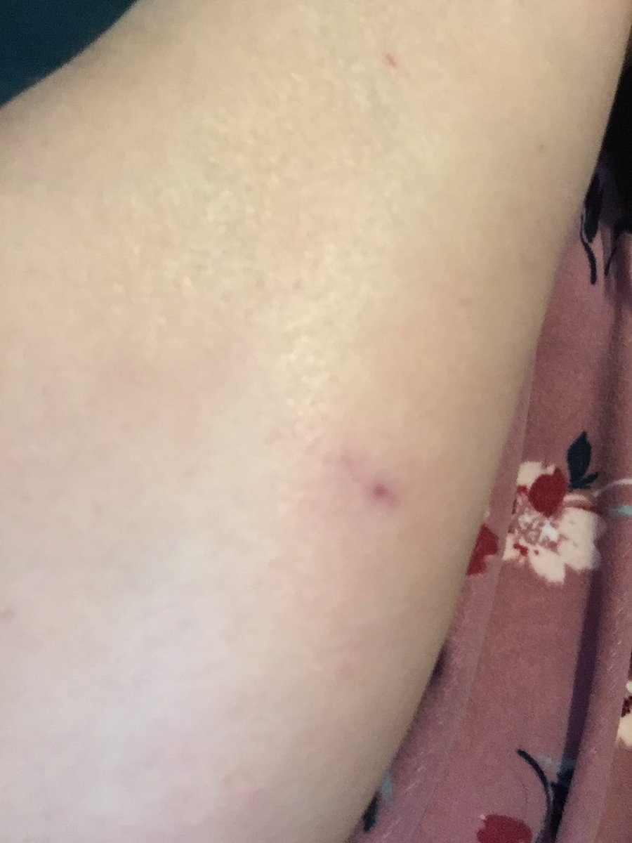 MadleeRage29's tweet photo. @SilkyBengeezers You have evil creatures like me! Did you see mine yesterday? #WhenPugsAttack 🤣🤣🤣 https://t.co/tqgkY8kdCa
