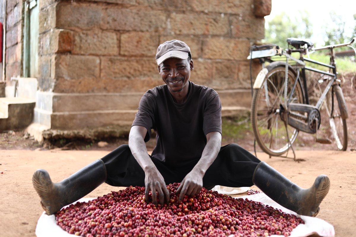 AllanTopen's tweet photo. Join @coopuk this #FairtradeFortnight to champion a better way of doing business for producers across the world. Thank you for choosing Fairtrade and fighting for climate justice! #ChooseFairtrade #ItsWhatWeDo https://t.co/hrghqfLs7Y