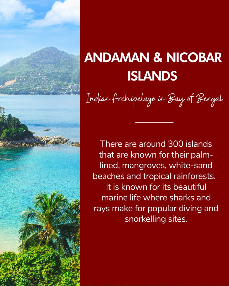 Travelxpdotcom's tweet photo. Witness the beautiful beaches and exotic marine life of Andaman and Nicobar Islands.
#Travelxpdotcom #travelIndia #beaches #beach #marine #marinelife #beachlife #beachy #beachvibes #beachday #Andaman #Nicobar #AndamanandNicobar #Andamandiaries #islands https://t.co/w8FRYeh7yV