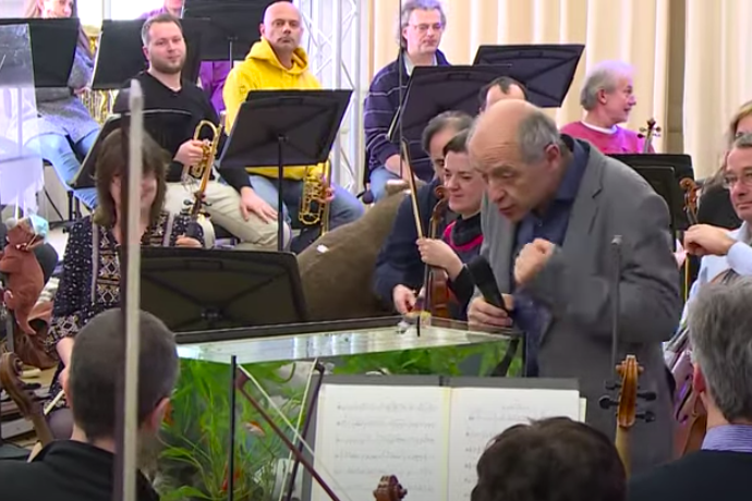 With no immediate prospect of a live audience of human beings, Ivan Fischer and his orchestra performed instead to fish.

thecuspmagazine.com/news/budapest-…