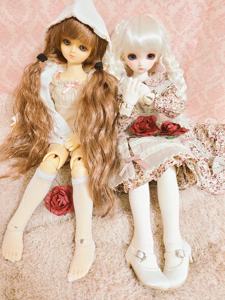 JAsJsnfrf3uPoKT's tweet photo. 明日お着替えだから見納め✨
#msd2
#sdm48
#うちのこかわいい https://t.co/gxw0OozWld