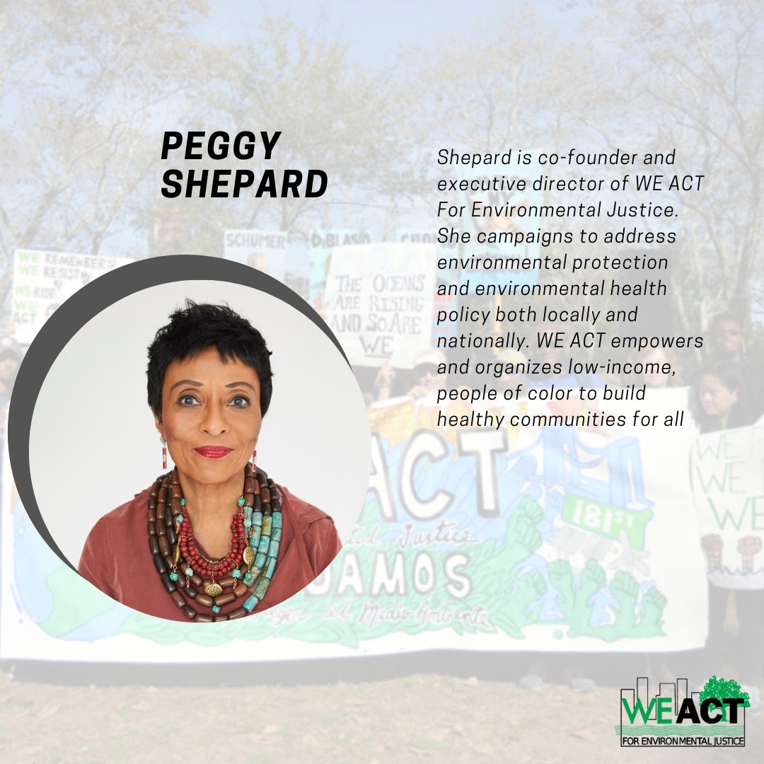 DCSSummit's tweet photo. Today's celebration of Black History Month, we feature Peggy Shepard, Co-Founder & Executive Director of @weact4ej-who expands political participation to impact environmental planning! If we get 50 retweets we'll make a donation. #sustainabilitygoals #designFWD #sustainabledesign https://t.co/mZHdchLCvT