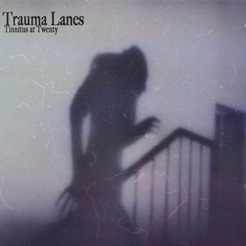 Our second single off of our new album is out now on all streaming platforms! Featuring our good friend Brandon Walton of Damage Control! 

Pick your poison and please enjoy!😊

#TraumaLanes #NewRelease #ReleaseRadar #PresstownMedia #Hardcore