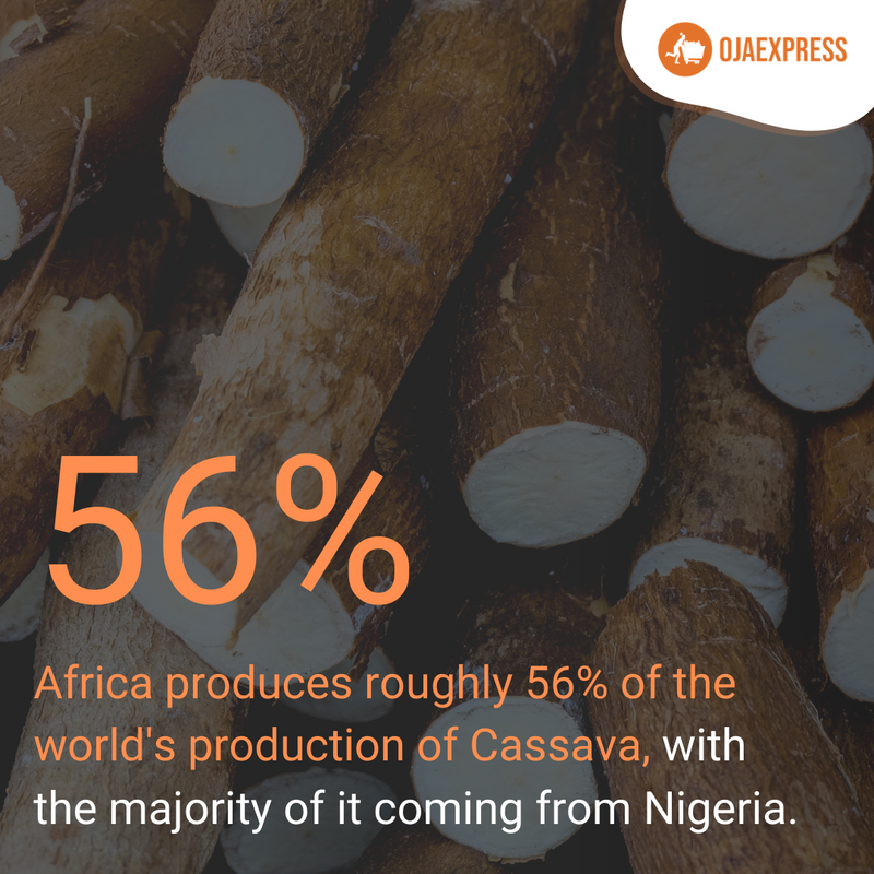 OjaExpress's tweet photo. π Gluten free and low in fat, Cassava is often soaked, grated then sun dried before being pressed through a sieve and dried once more to create 'Gari'
Find your favorite products on our website!
π https://t.co/7vpNspVG2q
#OjaExpress #CulturalCuisine #Cassava #FoodStatistics https://t.co/b5XqHJqH1x