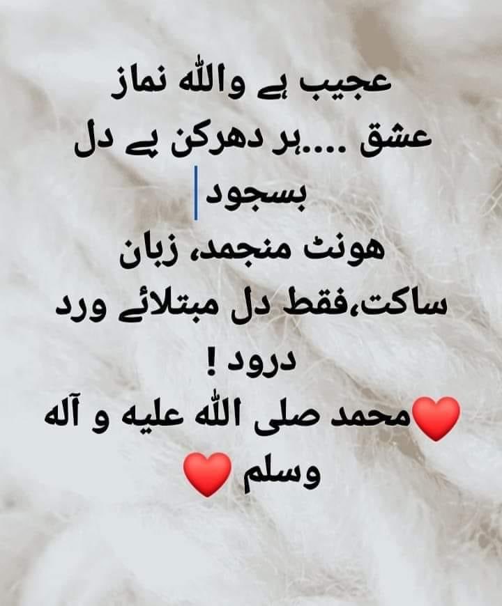 diyekilo's tweet photo. اِس زِندگی میں اُس زِندگی کی تیاری کیجیے.
📿درود پاک پڑھتے جائیں .
📿درود پاک پڑھواتے جائیں۔
محمد صلى الله عليه و آله وسلم https://t.co/iMF7o8Ni5V