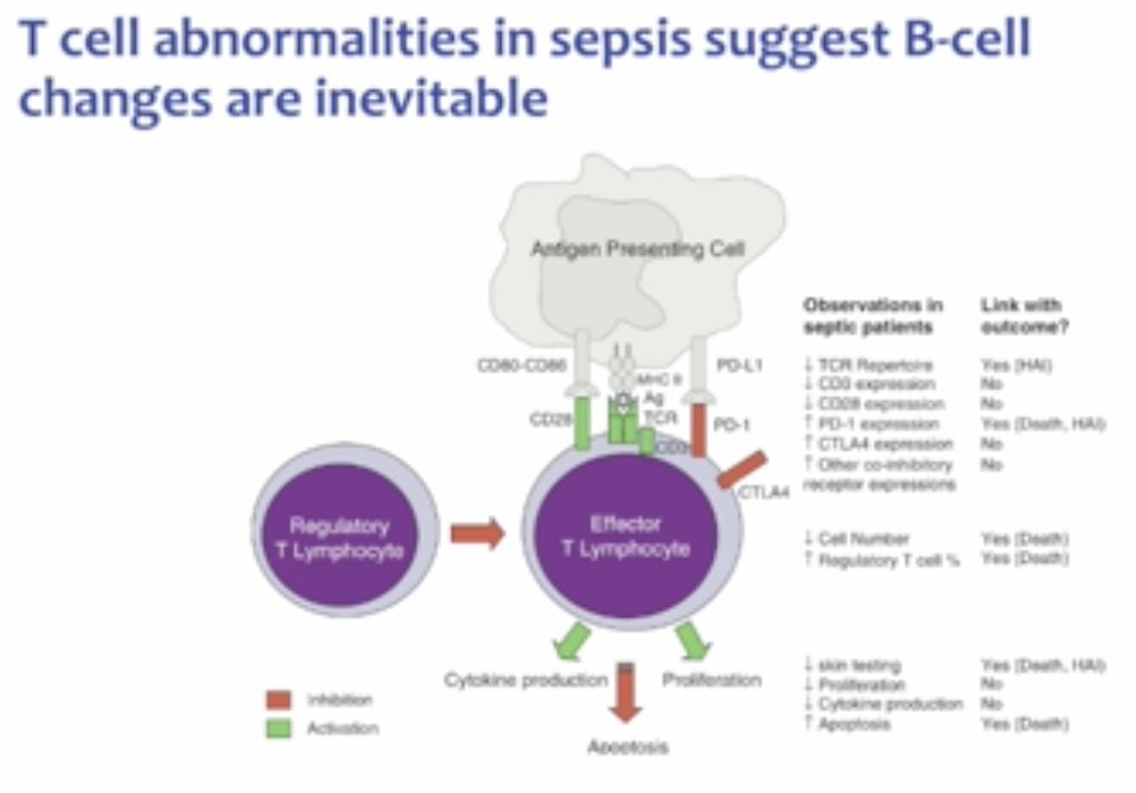 Immunomodulation in  #sepsis  @msh_manuNot all sepsis deaths "attributable" or "preventable"Infection v sepsisDysregulatory immune responsesT-cell exhaustion: ≠ respond to antigen challengerisk bacterial inf & dormant inf reactivation  hosp LOS/death #BTSWinter