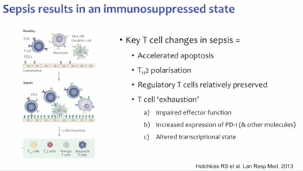 Immunomodulation in  #sepsis  @msh_manuNot all sepsis deaths "attributable" or "preventable"Infection v sepsisDysregulatory immune responsesT-cell exhaustion: ≠ respond to antigen challengerisk bacterial inf & dormant inf reactivation  hosp LOS/death #BTSWinter