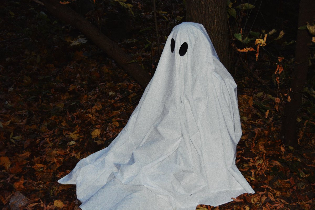 вы просто посмотрите, как я пыталась повторить американский тренд с привидением

#spooky #ghost #ghostchallenge #halloween