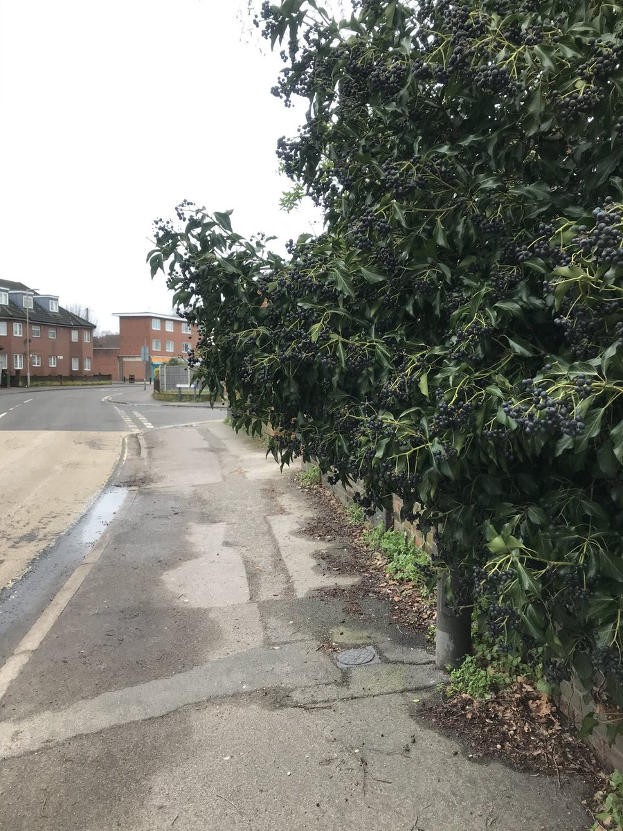 SarahJSpall's tweet photo. Dragged myself out for another run this morning, started off rubbish but was better at the end. Slightly behind target for my #RunLeJog challenge but I’m slowly chipping away the gap. Was lovely to say hi to fellow runners & walkers enroute #MercerActive #ThisGirlCan #NorthTown https://t.co/Jkl1jGpEzl