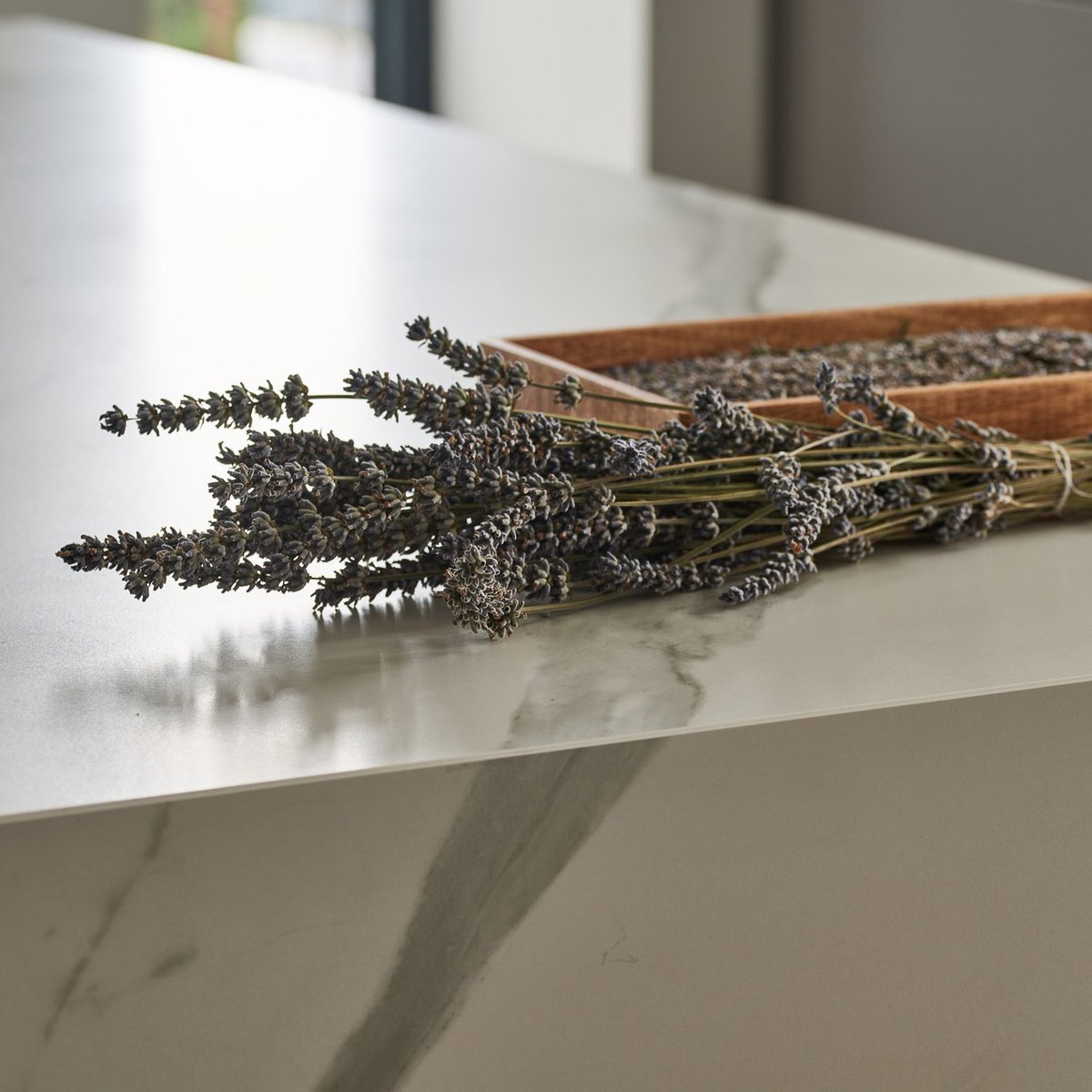Electroklase_'s tweet photo. Las encimeras porcelánicas tienen una alta resistencia a los rayos ultra violeta, al rayado, a la abrasión y al calor👌
Y además las hay preciosas, como este modelo 'Ópera' de @Dekton 🔝
¡No nos puede gustar más!🧡

#Electroklase #Cocinas  #Encimeras #Jaén #CocinasDeDiseño https://t.co/d6bdQjkfss