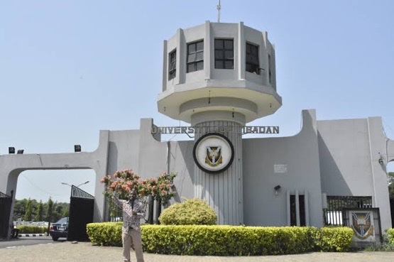 NigeriaStories's tweet photo. Do you know ?

University of Ibadan in Ibadan, Oyo State, Nigeria is the best university in West Africa according to the 2021 World University Rankings. https://t.co/NpUM5HrW4x