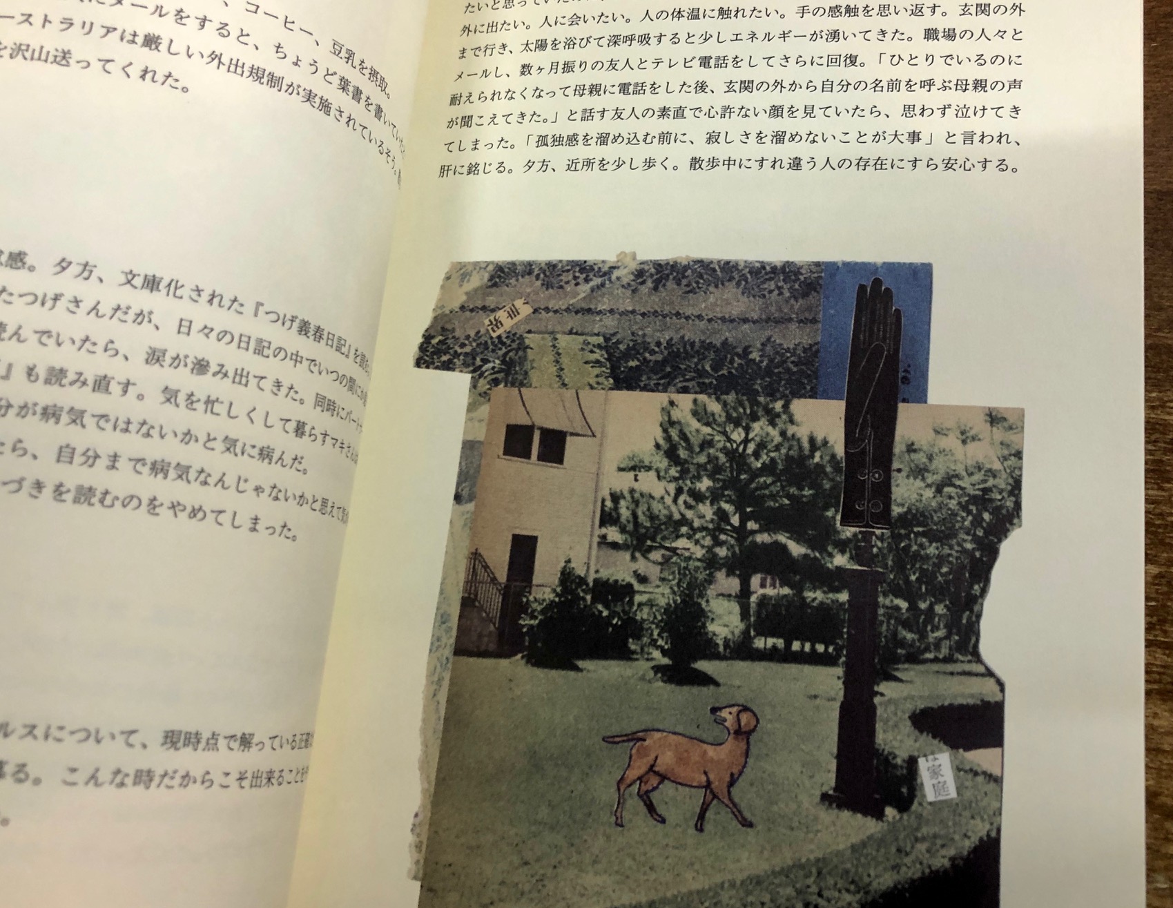 Title タイトル 前作 Stroll もロングセラーで売れている山本アマネさんの新作リトルプレス ものよむひと が入荷 本を読む 人 をテーマとした絵とコラージュ作品に 自身の読んだものや思いが織り込まれている 小さな本だけれど 確かに流れた