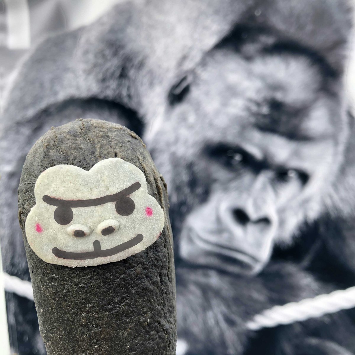 milanostyle8's tweet photo. #大人気 の #ゴリラチーズドック 🦍

#東山動物園 の 2大 #ゴリラ を目指して日々、頑張ってます。

いつか 本物の #シャバーニ と #2ショット を撮るのが #夢 

#東山動植物園　#東山公園　#ゴリラ　#ゴリラドック　#名古屋グルメ　#東山グルメ　#動物園グルメ　#キャラフード　#キャラ弁 https://t.co/m5GK5sCxSN