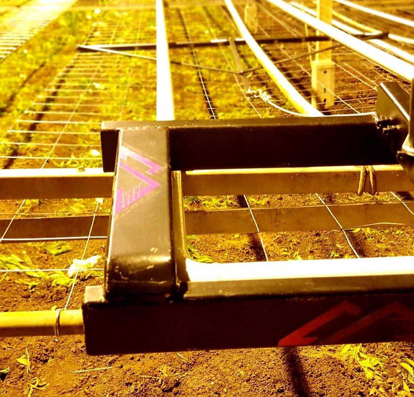 Kwaliteit is de trots van vakmanschap!!
#gaas #gaasvervangen #bloemengaas #lelie #chrysanten #flowers #bloemen #kwekerij #glastuinbouw #kassen #bloementeelt #flowers🌸 #kala.global