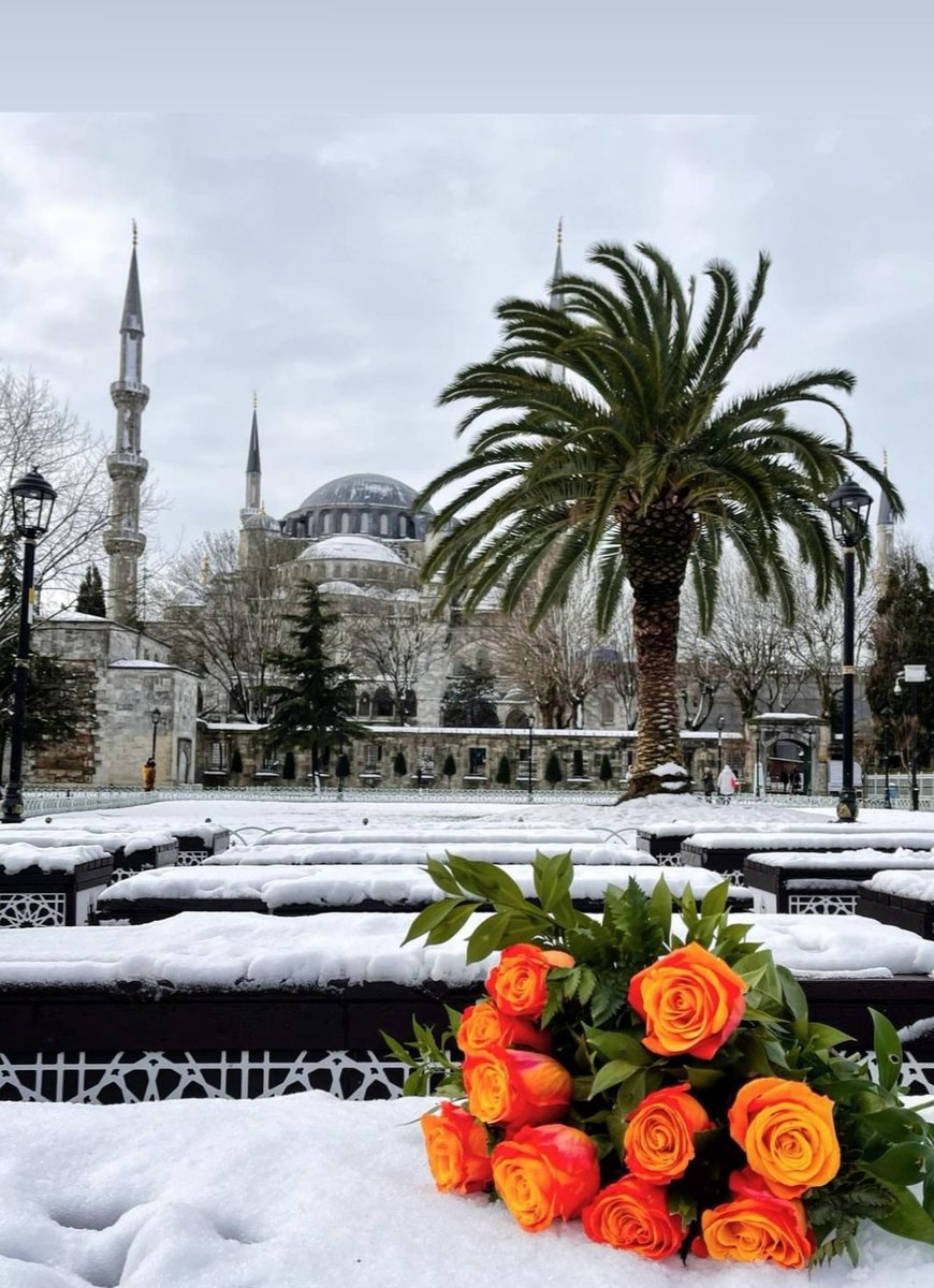 Ya Rab! Dokun yureğime Dermanı sende🤲