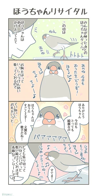 指先でトントン指拍子をしながらのかわいいコンサートです。

#Buncho #javasparrow #文鳥 