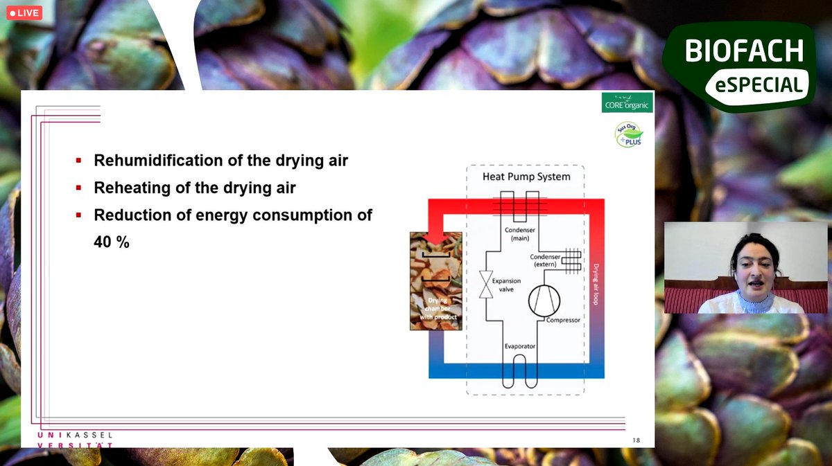OrganicsEurope's tweet photo. Smart drying makes #organic food processing more efficient & climate-friendly by reheating drying air & reducing the energy consumption by up to 40% - Gardis von Gersdorff, PhD Student @presseunikassel #SusOrgPlus #BIOFACH2021 #ScienceDay @TPOrganics https://t.co/KETy7Skzr0