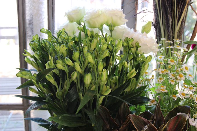 川越花屋のtwitterイラスト検索結果