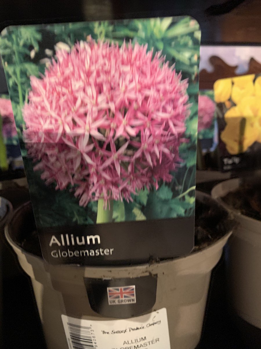 Sussex Produce Co. (@sussexproduce) on Twitter photo 